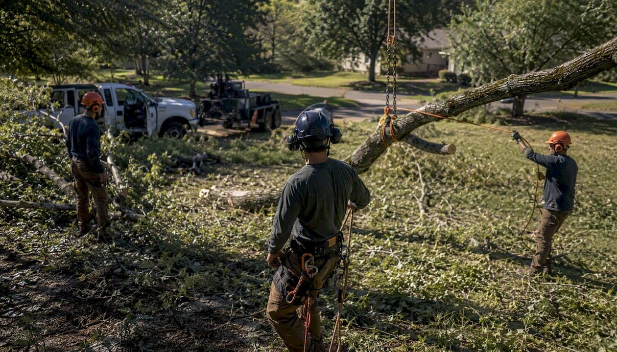 Emergency Tree Removal Cost in Shreveport: 2026 Prices