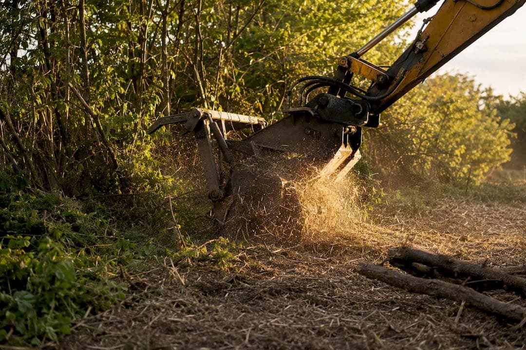 Forestry Mulching: $500–$8,000 Per Acre, Real Budgets & Checklist