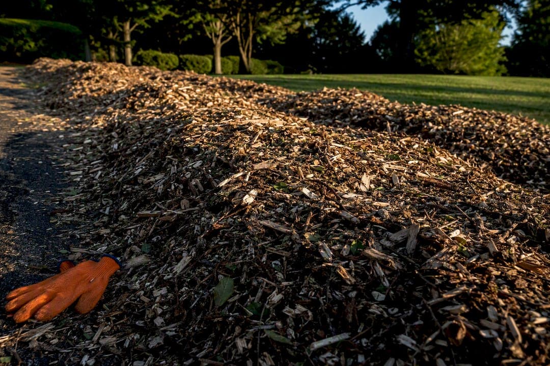 3–12 Months to Age Wood Chips After Tree Removal, Homeowners' Mulch