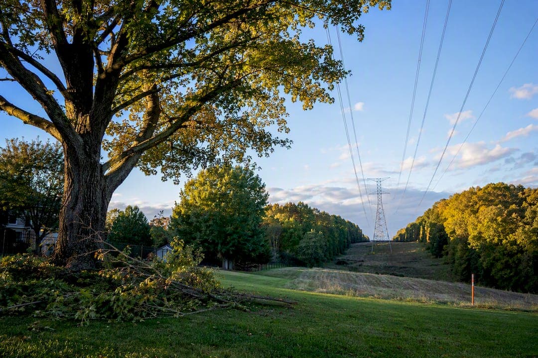 U.S. Homeowners: Read the Easement, Call 811, Document Tree Work