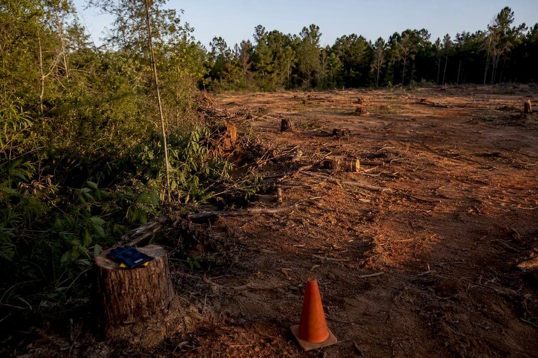 Shreveport Land Clearing Costs: $1,500–$6,000/acre and What to Ask