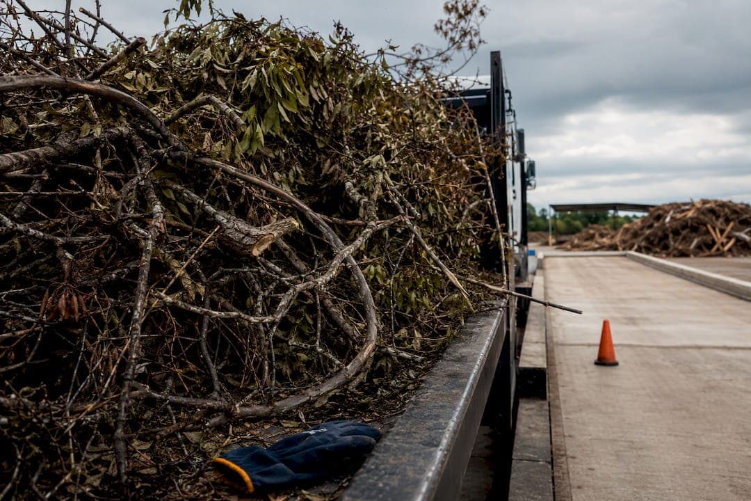 Skip the Landfill: Shreveport Storm Debris Disposal, $43/ton Fee